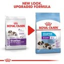 Royal Canin Giant Starter Dry Food 4kg + Free Travel Kit