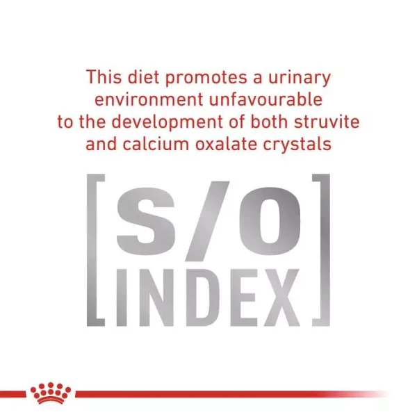 60507348_royal-canin-early-renal-dry-cat-food-1-5kg