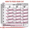 60507348_royal-canin-early-renal-dry-cat-food-1-5kg