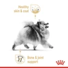 60c0e128_royal-canin-pomeranian-adult-dry-dog-food-1-5-kg
