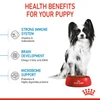 62ff668b_royal-canin-x-small-puppy-1-5-kg