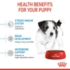 6310e051_royal-canin-mini-puppy-dry-food-2kg