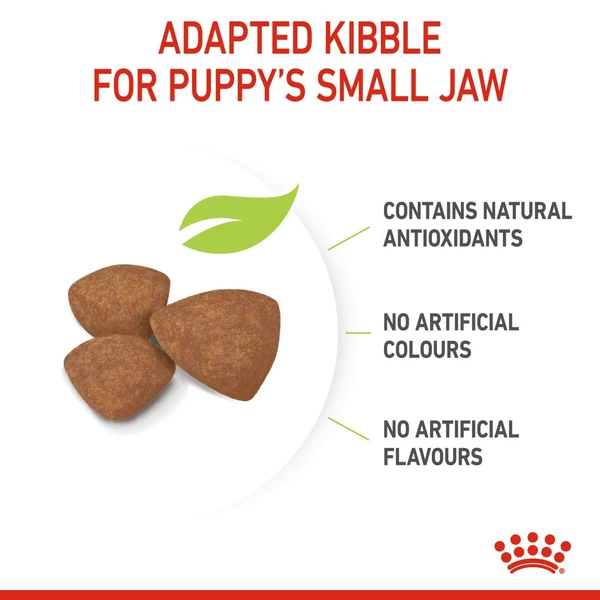 6310e051_royal-canin-mini-puppy-dry-food-2kg
