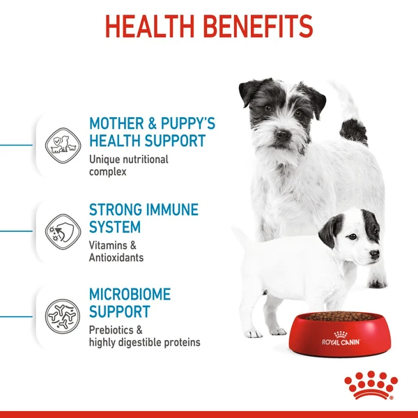 6310e365_royal-canin-mini-starter-dry-food-1kg