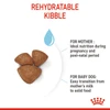 6310e365_royal-canin-mini-starter-dry-food-1kg