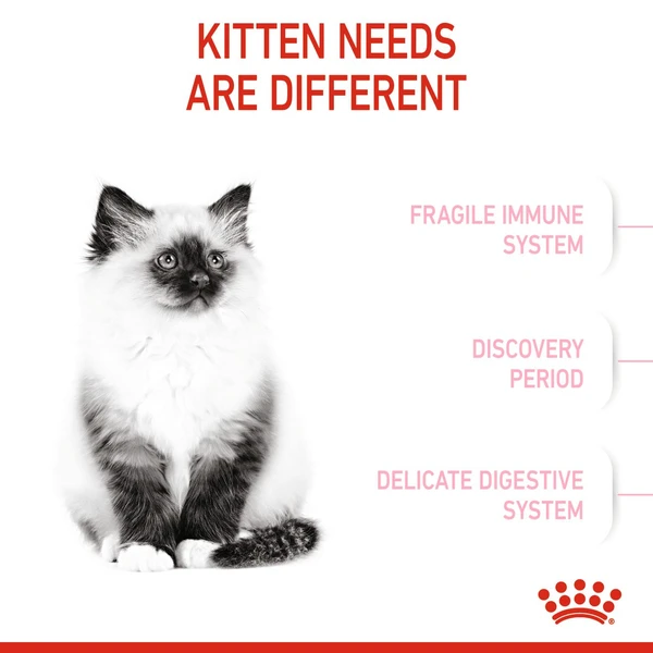 6310e9a2_royal-canin-kitten-dry-food-10-kg