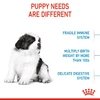 6311e3ce_royal-canin-giant-puppy-dry-food-15kg
