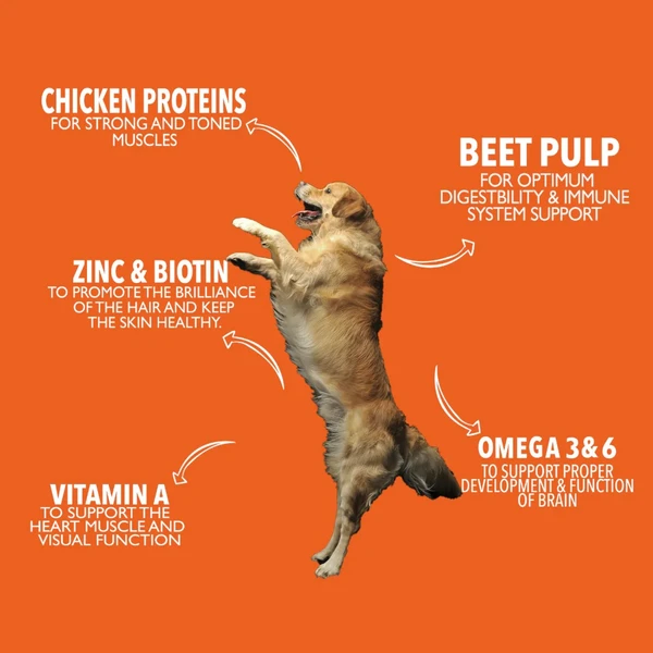 63bd6369_legends-wholesome-chicken-adult-dogs-dry-food-20-kg