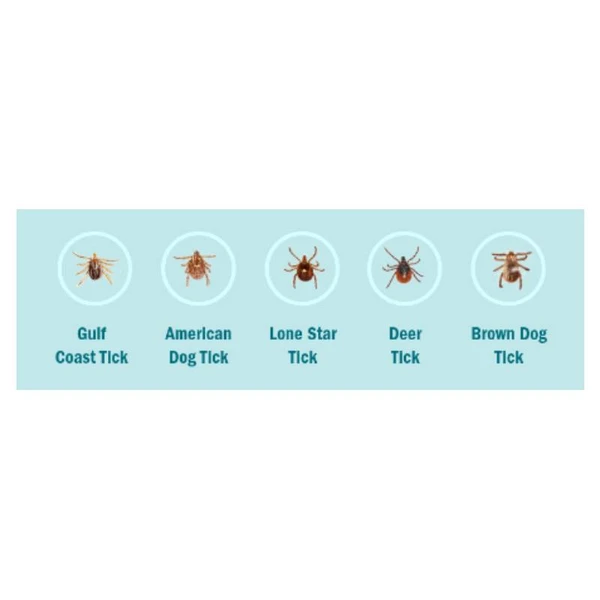 6464a810_simparica-trio-chewable-tablet-for-dogs-10-20-kg-x-1-tablet