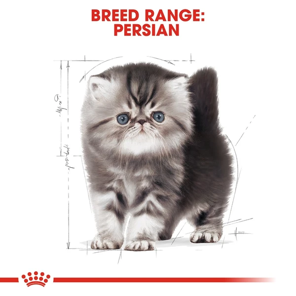 5ce2d7ec_royal-canin-persian-kitten-dry-food-2kg