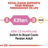 5ce2d7ec_royal-canin-persian-kitten-dry-food-2kg