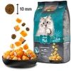 67697ac1_leonardo-adult-fish-cat-dry-food