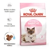 67a9ebff_royal-canin-babycat-dry-food-2-kg