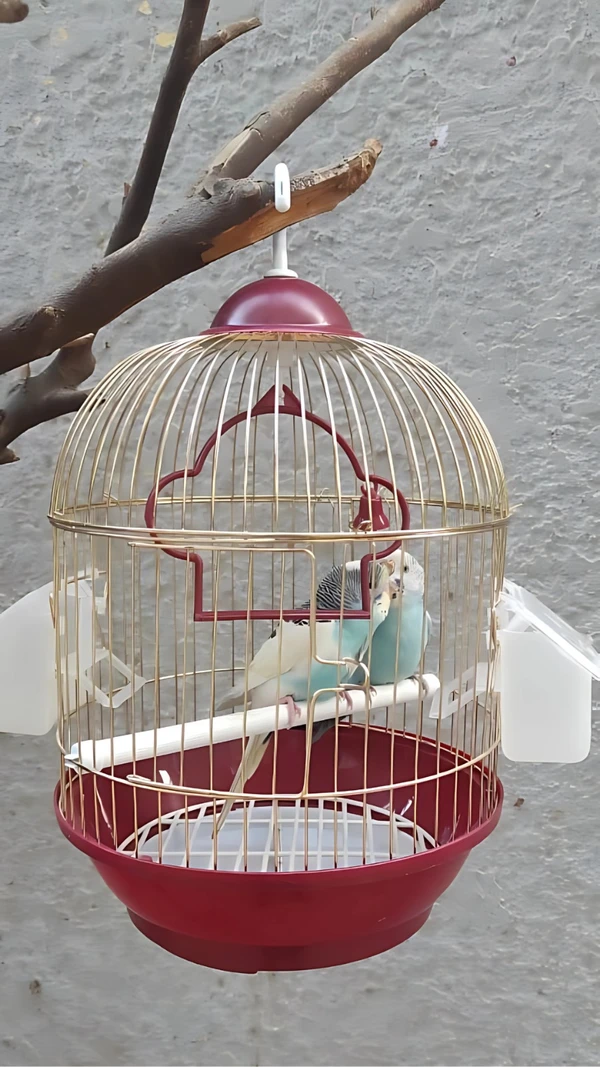 67af13a3_bird-cage-cylinder-shape