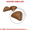 5ce3f7cd_royal-canin-intense-hairball-dry-cat-food-2kg