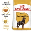6800e4eb_royal-canin-rottweiler-adult-dry-food-17kg