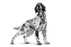 68036de7_royal-canin-veterinary-nutrition-hypoallergenic-dog-dry-food-2-kg