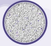 6839ba6d_cats-way-white-bentonite-clumping-cat-litter-lavender-scented