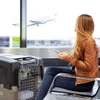 6877b96f_stefanplast-gulliver-6-iata-dog-carrier