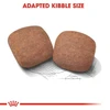68bae0df_royal-canin-giant-adult-dog-dry-food-4-kg