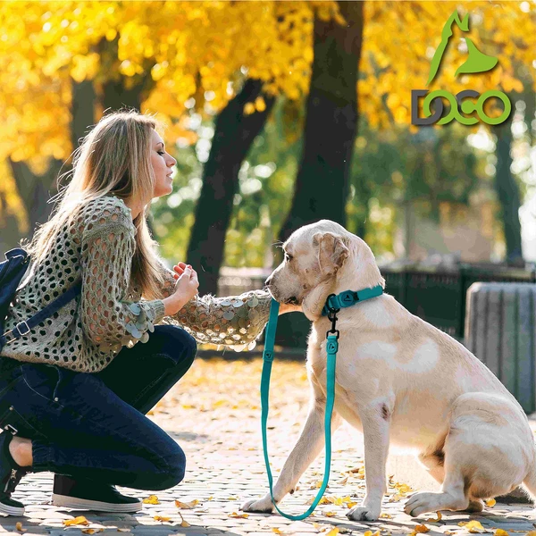 68ce649e_doco-jelly-bean-leash-l-2-5-x-180cm