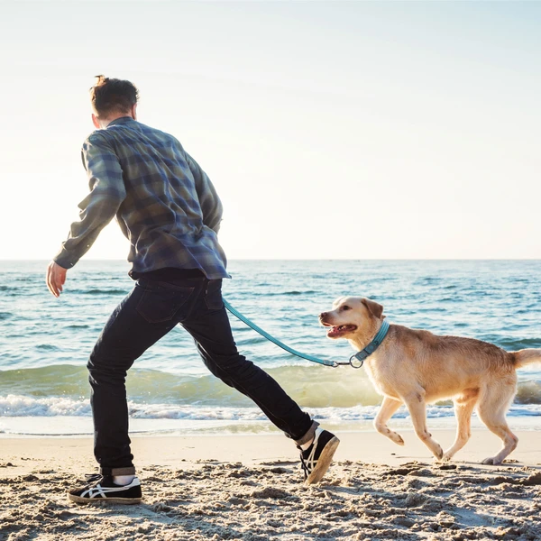 68d26fa0_doco-vario-nylon-dog-leash-with-reflective-thread-medium-2-0-x-180cm