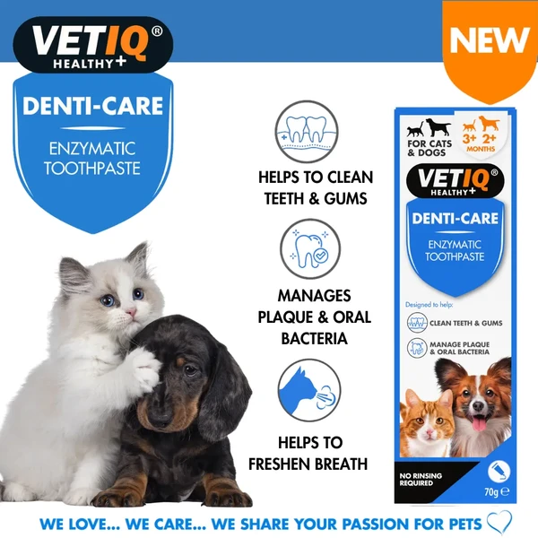 68da4f3e_vetiq-denti-care-enzymatic-toothpaste-70g