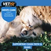68da4f3e_vetiq-denti-care-enzymatic-toothpaste-70g