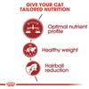5cf681f1_royal-canin-fit-cat-food-15kg