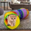 68e4c775_cat-s-tunnel