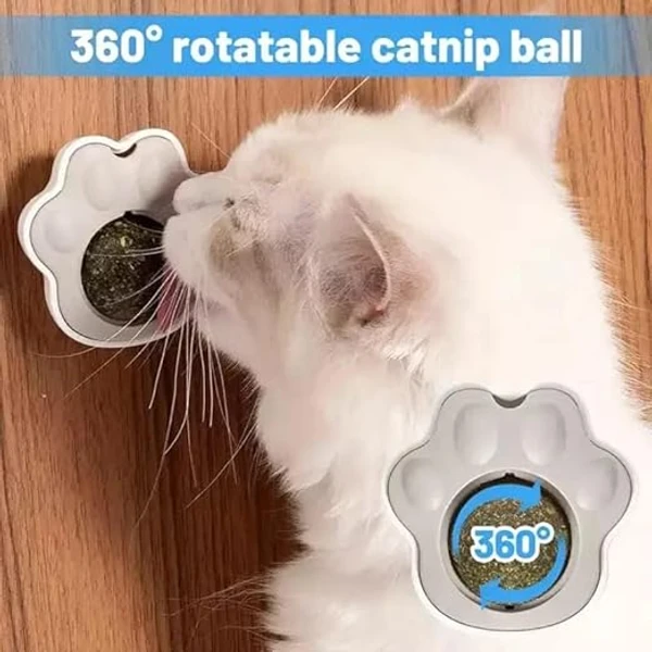 68f7636f_paw-shaped-catnip-ball-toy-for-cats-rotating-wall-mounted-cat-treat-toy-natural-catnip-for-dental-health-fresh-breath-hairball-relief