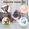 68f7636f_paw-shaped-catnip-ball-toy-for-cats-rotating-wall-mounted-cat-treat-toy-natural-catnip-for-dental-health-fresh-breath-hairball-relief