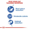 5cf687ce_royal-canin-indoor-adult-dry-cat-food-4kg