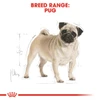 5cfe7e78_royal-canin-pug-adult-1-5-kg