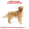 5d011417_royal-canin-golden-retriever-adult-dry-food-3kg
