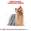 5d0117c5_royal-canin-yorkshire-terrier-adults-1-5kg