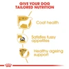 5d0117c5_royal-canin-yorkshire-terrier-adults-1-5kg