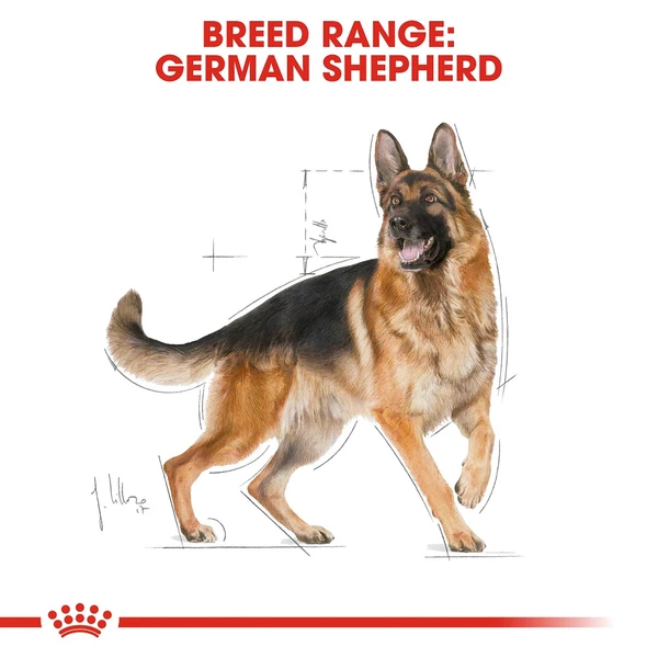 5d022e66_royal-canin-german-shepherd-dry-dog-food-adult-17kg
