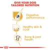 5d022e66_royal-canin-german-shepherd-dry-dog-food-adult-17kg