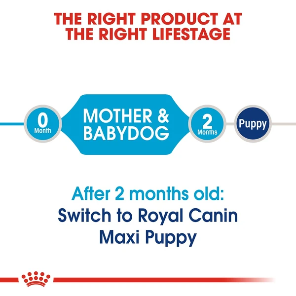 5d0378ce_royal-canin-maxi-starter-dry-food-4kg