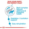 5d0378ce_royal-canin-maxi-starter-dry-food-4kg