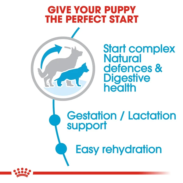 5d0378ce_royal-canin-maxi-starter-dry-food-4kg