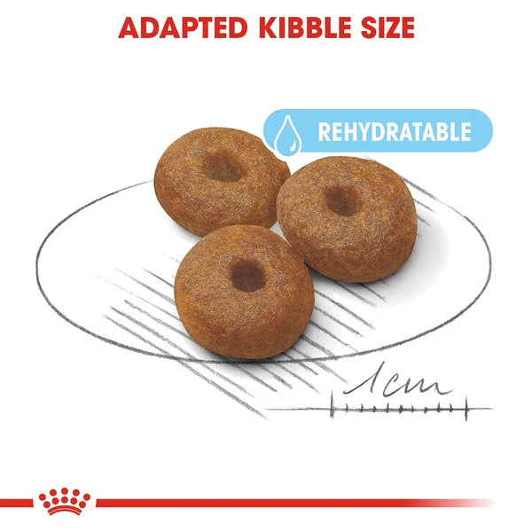 5d0378ea_royal-canin-maxi-starter-dry-food-4kg