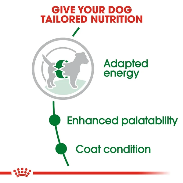 5d0b9ad1_royal-canin-mini-adult-dry-food-4kg
