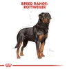 5d0ba286_royal-canin-rottweiler-dry-food-17kg