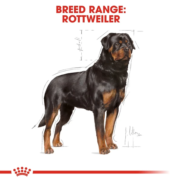5d0ba286_royal-canin-rottweiler-dry-food-17kg
