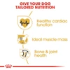 5d0ba286_royal-canin-rottweiler-dry-food-17kg