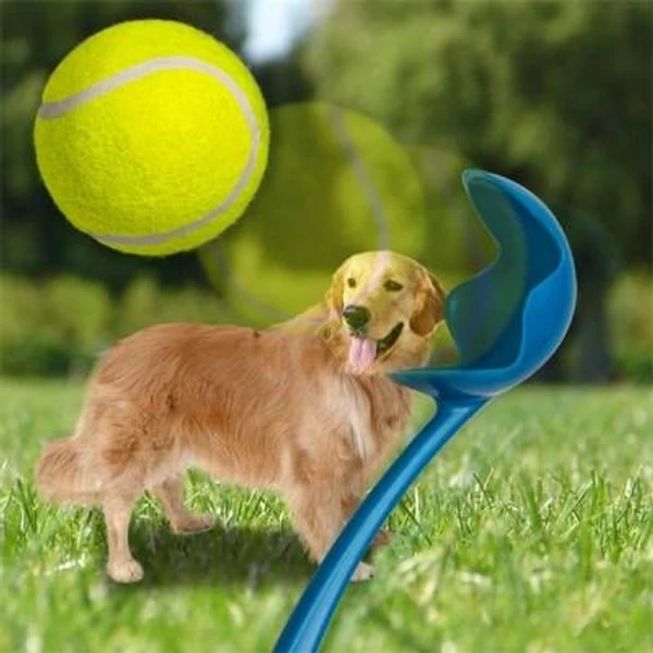 5da73748_tennis-ball-with-hand-stick-dog-toy