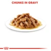 5db175ae_royal-canin-maxi-puppy-pouch-gravy-140g