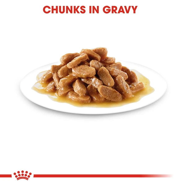 5db175ae_royal-canin-maxi-puppy-pouch-gravy-140g